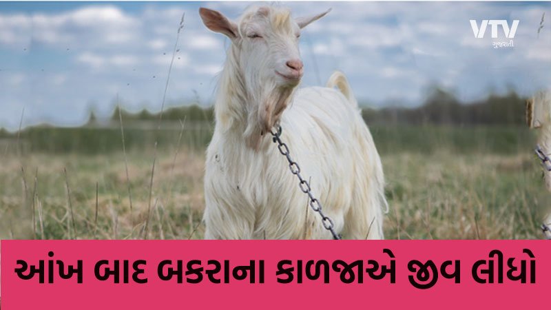Dungarpur-man-goat-death