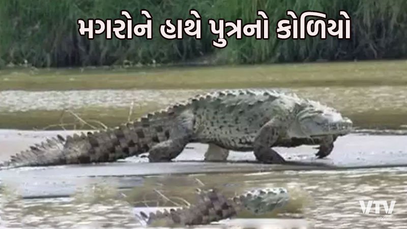 Son-Crocodile-Body