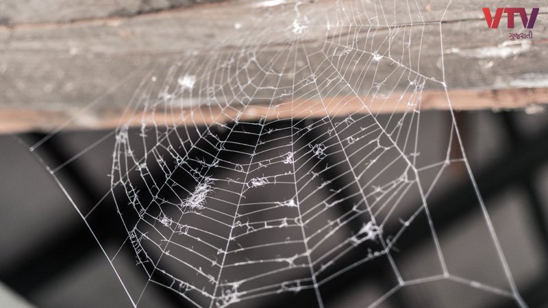 spider-web-1